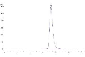 Size-exclusion chromatography-High Pressure Liquid Chromatography (SEC-HPLC) image for CD274 (PD-L1) (AA 19-238) protein (His tag) (ABIN7275435)