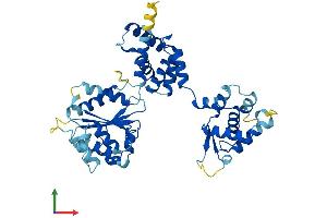 Protein Structure (PS) image for Origin Recognition Complex, Subunit 4 (ORC4) (AA 1-433) protein (His tag) (ABIN7562655)