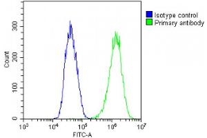 Overlay histogram showing PC-3 cells stained with (ABIN1539403 and ABIN2849618)(green line). (DSPP 抗体  (AA 47-76))