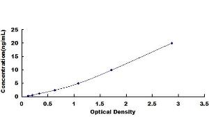 Typical standard curve (Contactin 4 ELISA 试剂盒)