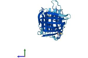 Protein Structure (PS) image for Cell Cycle Checkpoint Protein RAD1 (RAD1) (AA 1-280) protein (His tag) (ABIN7565140)