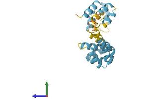 AlphaFold protein structure predicition of Human Recombinant FADD Protein, UniprotID Q13158 (FADD Protein (AA 1-208) (His tag))