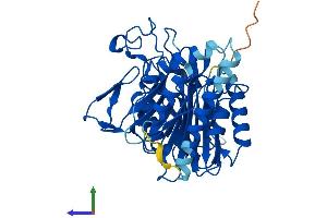 Protein Structure (PS) image for Secernin 2 (SCRN2) (AA 1-425) protein (His tag) (ABIN7559808)