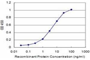 Detection limit for recombinant GST tagged PRL is approximately 0. (Prolactin 抗体  (AA 29-227))
