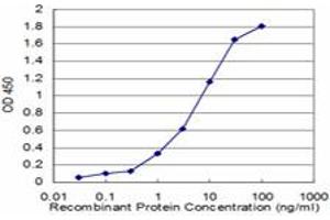 Detection limit for recombinant GST tagged NVL is approximately 0. (NVL 抗体  (AA 757-856))