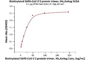 Immobilized Human ACE2, Fc Tag (ABIN6952459,ABIN6952465) at 1 μg/mL (100 μL/well) can bind Biotinylated SARS-CoV-2 S protein trimer, His,Avitag (ABIN6992365) with a linear range of 2-39 ng/mL (QC tested).