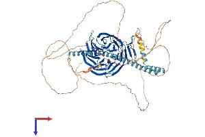 AlphaFold protein structure predicition of Mouse Recombinant Tle3 Protein, UniprotID Q08122 (TLE3 Protein (AA 1-772) (His tag))