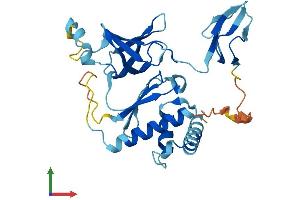 AlphaFold protein structure predicition of Human Recombinant EXOSC2 Protein, UniprotID Q13868
