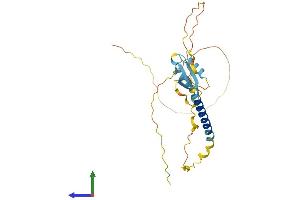 AlphaFold protein structure predicition of Human Recombinant H1-7 Protein, UniprotID Q75WM6