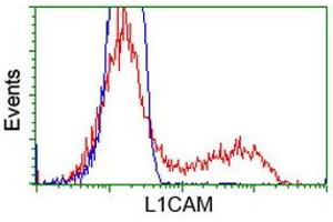 Image no. 3 for anti-L1 Cell Adhesion Molecule (L1CAM) antibody (ABIN1499086) (L1CAM 抗体)