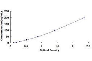 Anti-Growth Hormone Antibody (GHAb) ELISA Kit