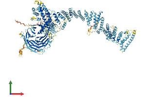 Protein Structure (PS) image for Nucleoporin 160kDa (NUP160) (AA 1-1436) protein (His tag) (ABIN7554789)