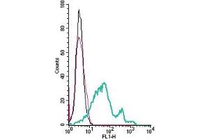 Cell surface detection of GPR108 by indirect flow cytometry in live intact mouse  microglia cell line: + goat-anti-rabbit-FITC. (GPR108 抗体  (Extracellular))
