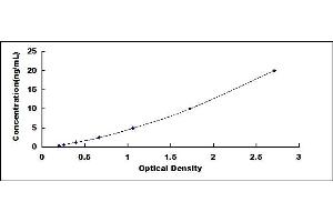Typical standard curve (NELL2 ELISA 试剂盒)
