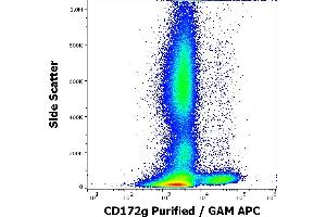 Flow cytometry surface staining pattern of human peripheral whole blood stained using anti-human CD172g (OX-119) purified antibody (concentration in sample 1,7 μg/mL, GAM APC). (SIRPG 抗体)
