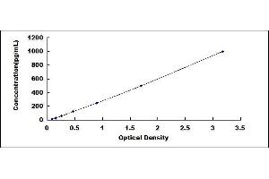 Typical standard curve (KNG1 ELISA 试剂盒)