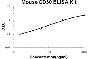 ELISA image for Tumor Necrosis Factor Receptor Superfamily, Member 8 (TNFRSF8) ELISA Kit (ABIN1889304)