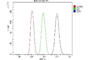 Flow Cytometry analysis of HepG2 cells using anti-TET1 antibody (ABIN7600442). (TET1 抗体  (AA 194-417))