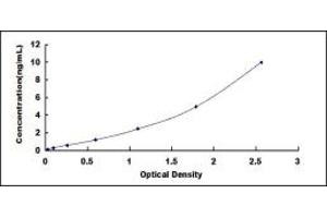 Typical standard curve (KRT4 ELISA 试剂盒)