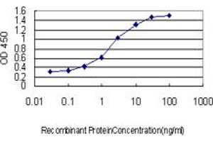 Detection limit for recombinant GST tagged STAR is approximately 0. (STAR 抗体  (AA 81-180))