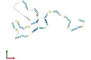 Protein Structure (PS) image for Nebulette (NEBL) (AA 1-452) protein (His tag) (ABIN7556937)