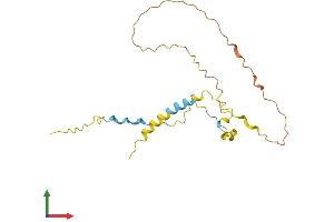 Protein Structure (PS) image for Chromosome 5 Open Reading Frame 39 (C5orf39) (AA 1-193) protein (His tag) (ABIN7552624)