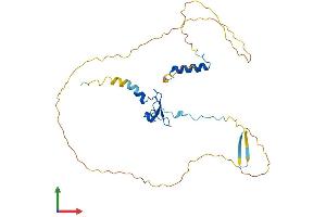 AlphaFold protein structure predicition of Human Recombinant PHF13 Protein, UniprotID Q86YI8 (PHF13 Protein (AA 1-300) (His tag))