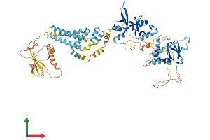 Protein Structure (PS) image for Cyclin M3 (CNNM3) (AA 1-707) protein (His tag) (ABIN7546571)