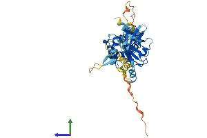 AlphaFold protein structure predicition of Human Recombinant FBXO4 Protein, UniprotID Q9UKT5