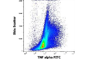 Flow cytometry intracellular staining pattern of human PHA stimulated peripheral blood mononuclear cells stained using anti-human TNF alpha (MAb11) FITC antibody (4 μL reagent per milion cells in 100 μL of cell suspension). (TNF alpha 抗体  (FITC))
