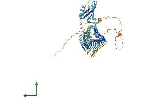 AlphaFold protein structure predicition of Human Recombinant DAZ2 Protein, UniprotID Q13117
