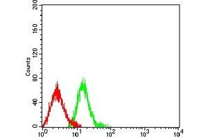 Flow cytometric analysis of HL-60 cells using CD61 mouse mAb (green) and negative control (red).