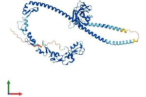 AlphaFold protein structure predicition of Mouse Recombinant Traf3 Protein, UniprotID Q60803 (TRAF3 Protein (AA 1-567) (His tag))