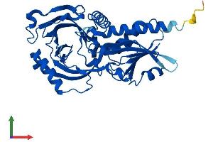 Protein Structure (PS) image for D-Amino-Acid Oxidase (DAO) (AA 1-347) protein (His tag) (ABIN7550436)