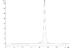 Size-exclusion chromatography-High Pressure Liquid Chromatography (SEC-HPLC) image for Leukocyte Immunoglobulin-Like Receptor, Subfamily B (With TM and ITIM Domains), Member 4 (LILRB4) (AA 22-257) protein (His-Avi Tag) (ABIN7275191)