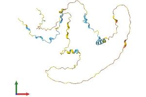 AlphaFold protein structure predicition of Human Recombinant CDCA3 Protein, UniprotID Q99618 (CDCA3 Protein (AA 1-268) (His tag))