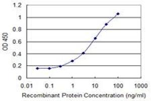 Detection limit for recombinant GST tagged BAALC is 0. (BAALC 抗体  (AA 61-145))