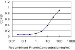 Detection limit for recombinant GST tagged CD3E is approximately 1ng/ml as a capture antibody. (CD3 epsilon 抗体  (AA 23-207))