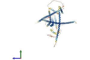 Protein Structure (PS) image for Mutated in Colorectal Cancers (MCC) (AA 1-829) protein (His tag) (ABIN7553570)