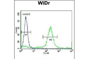 Flow cytometric analysis of WiDr cells (right histogram) compared to a negative control cell (left histogram).