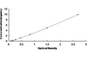 Typical standard curve (CCKBR ELISA 试剂盒)