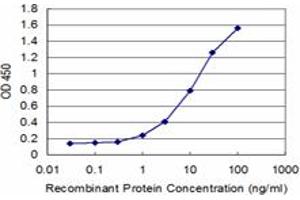 Detection limit for recombinant GST tagged SMAD7 is approximately 1ng/ml as a capture antibody. (SMAD7 抗体  (AA 160-260))
