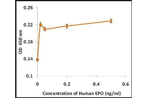 Activity Assay (AcA) image for Erythropoietin (EPO) (Active) protein (ABIN5509957) (EPO 蛋白)