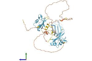 Protein Structure (PS) image for Heterogeneous Nuclear Ribonucleoprotein H1 (H) (HNRNPH1) (AA 1-449) protein (His tag) (ABIN7548348)