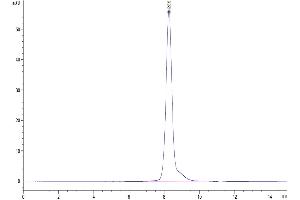 The purity of Human SELL/CD62L is greater than 95 % as determined by SEC-HPLC.