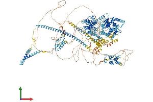 AlphaFold protein structure predicition of Human Recombinant SMARCA2 Protein, UniprotID P51531 (SMARCA2 Protein (AA 1-1590) (His tag))