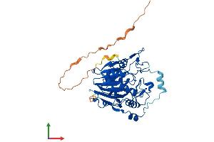 Protein Structure (PS) image for N-Acyl Phosphatidylethanolamine phospholipase D (NAPEPLD) (AA 1-396) protein (His tag) (ABIN7558617)