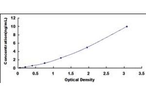 Typical standard curve (GSK3 alpha ELISA 试剂盒)