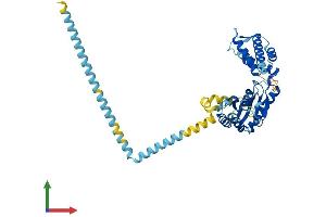 AlphaFold protein structure predicition of Human Recombinant ATAD3C Protein, UniprotID Q5T2N8