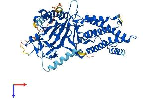 FTO Protein (AA 1-502) (His tag)